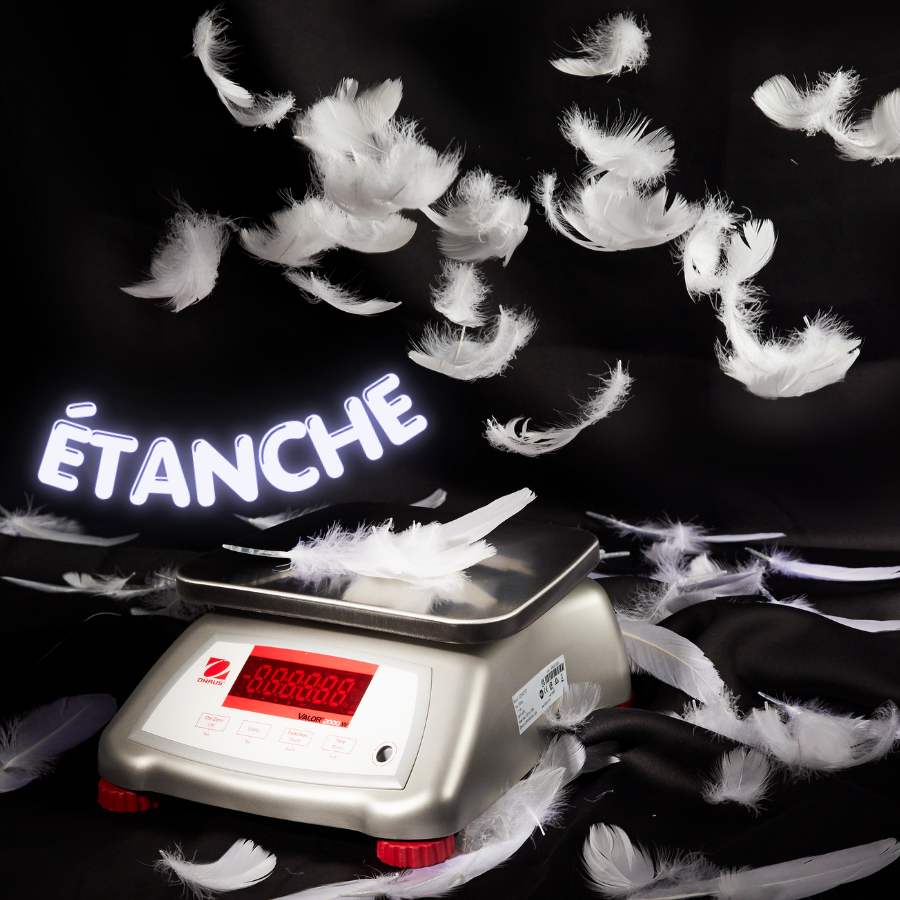 Balance compacte 6Kg 1G Valor 2000 - Bo&icirc;tier ABS