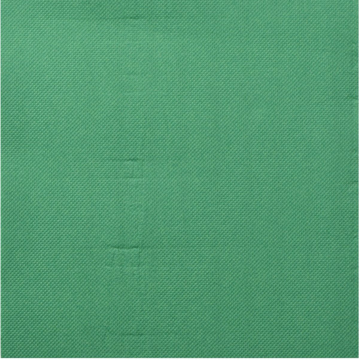 Serviette Celi-ouate 38X38 cm Vert - 50 serviettes